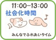 社会化時間