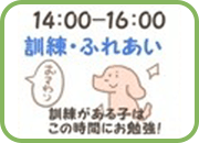 訓練・ふれあい